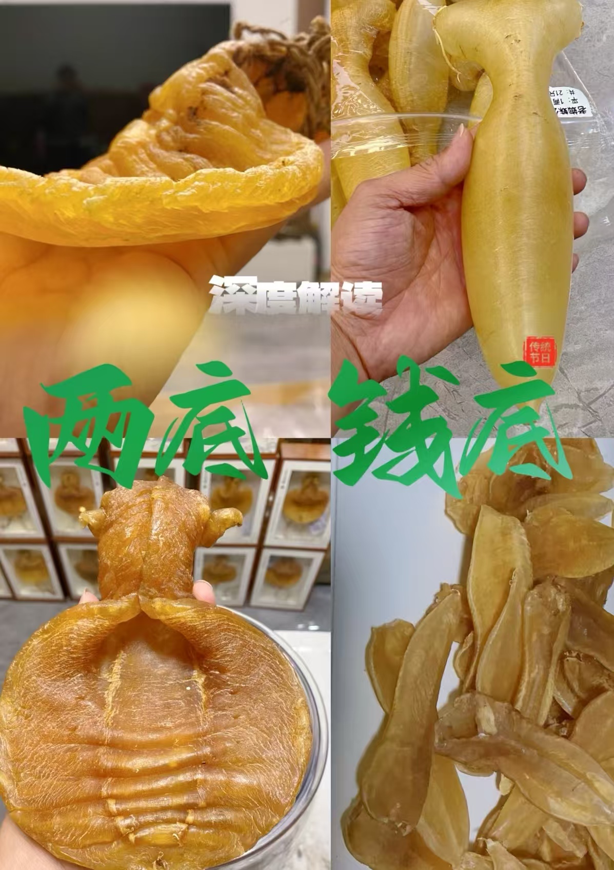 深度解读鱼胶价格标准：“两底与钱底