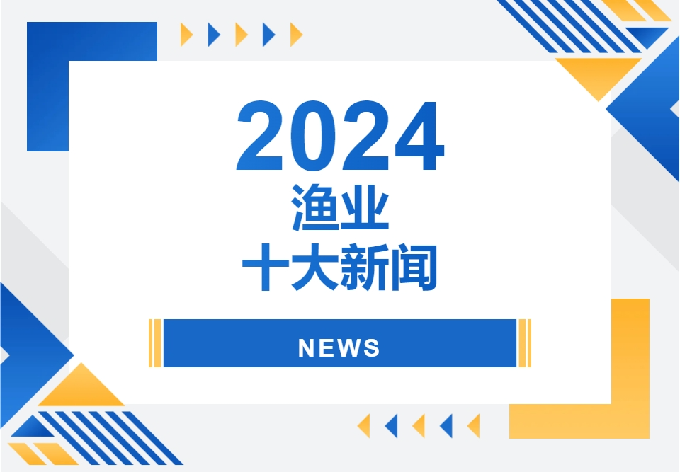 2024渔业十大新闻