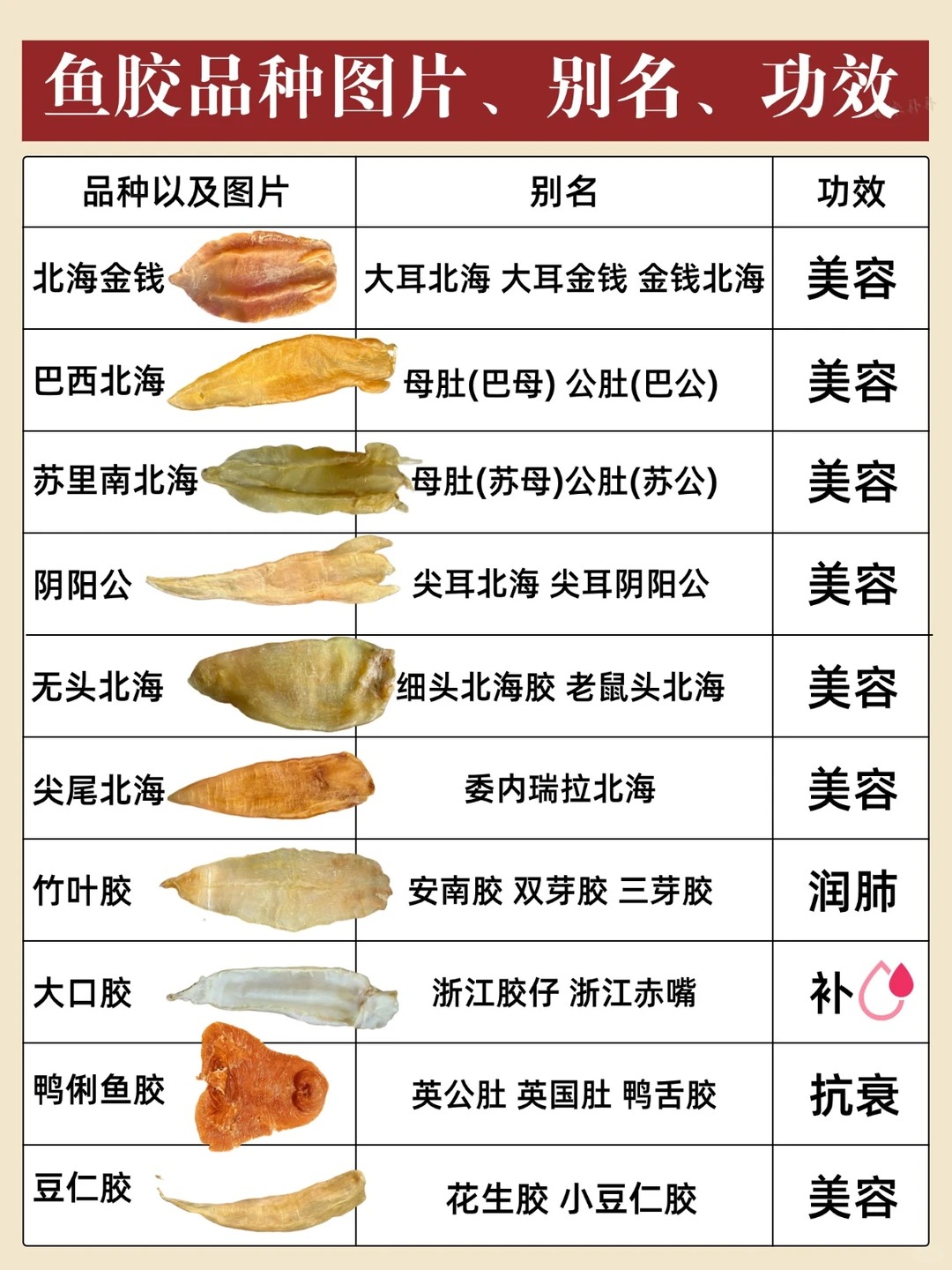 常见鱼胶的品种，别名以及功效 了解鱼胶，认识鱼胶，才能有效滋补