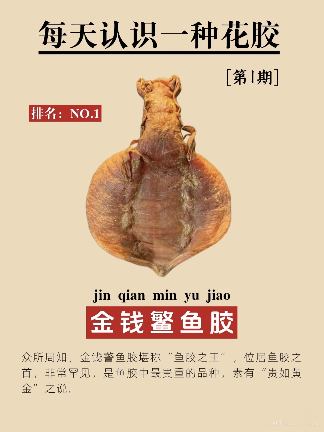 微信图片_20260325112118_381_543.jpg