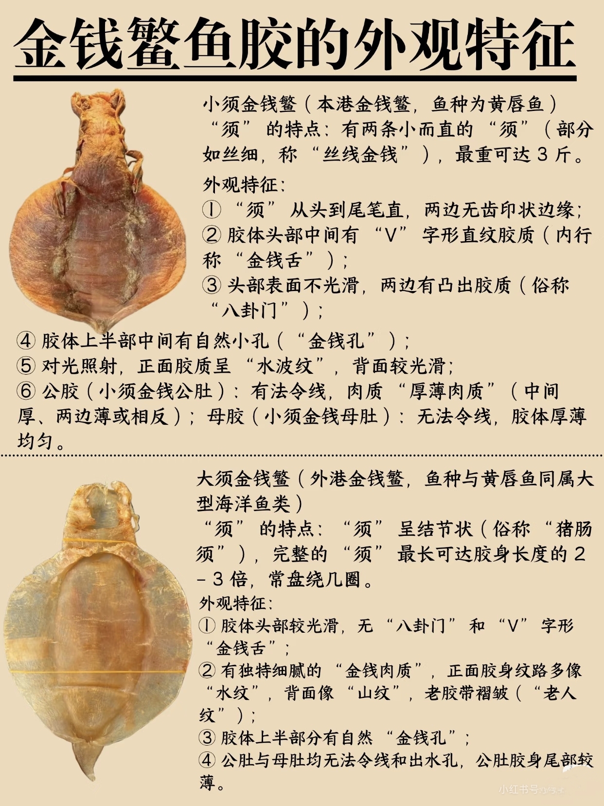 微信图片_20260325112119_382_543.jpg