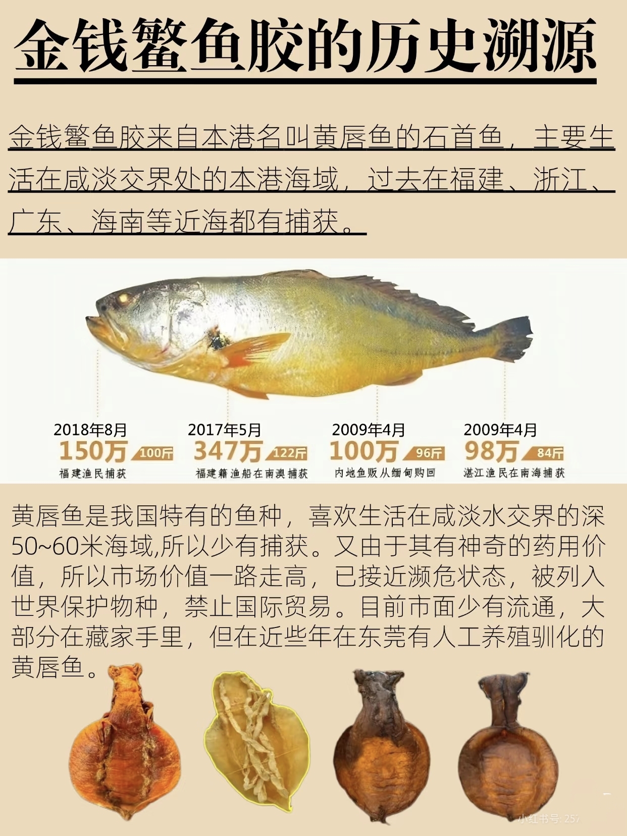 微信图片_20260325112120_383_543.jpg