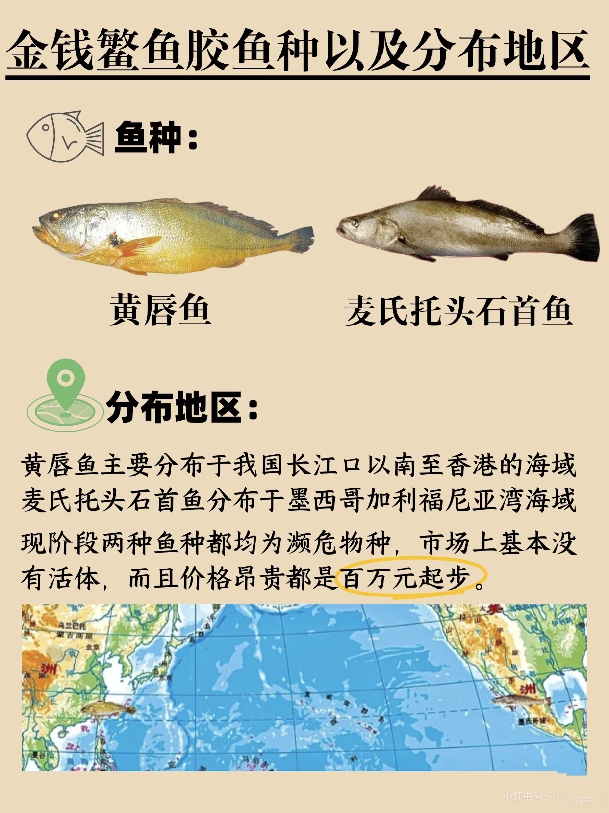 微信图片_20260325112121_384_543.jpg