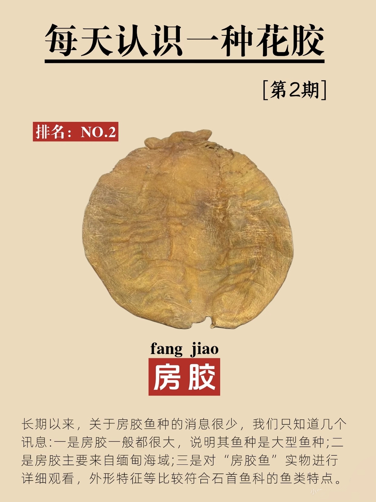 微信图片_20260325114445_386_543.jpg