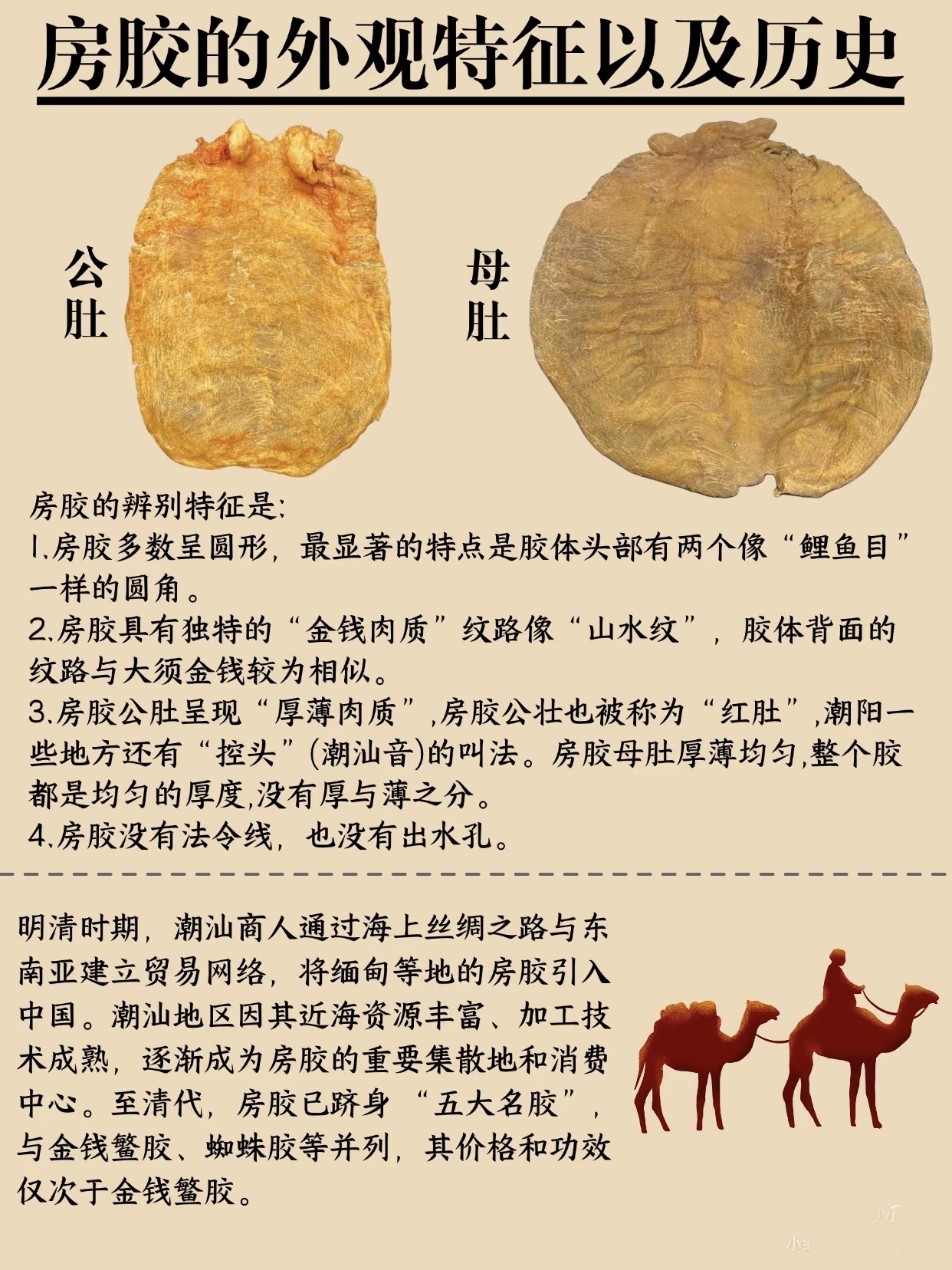 微信图片_20260325114446_388_543.jpg