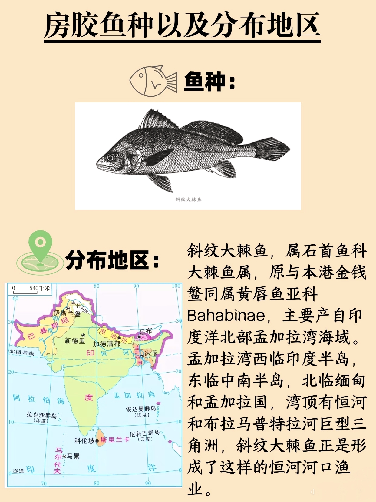 微信图片_20260325114446_387_543.jpg
