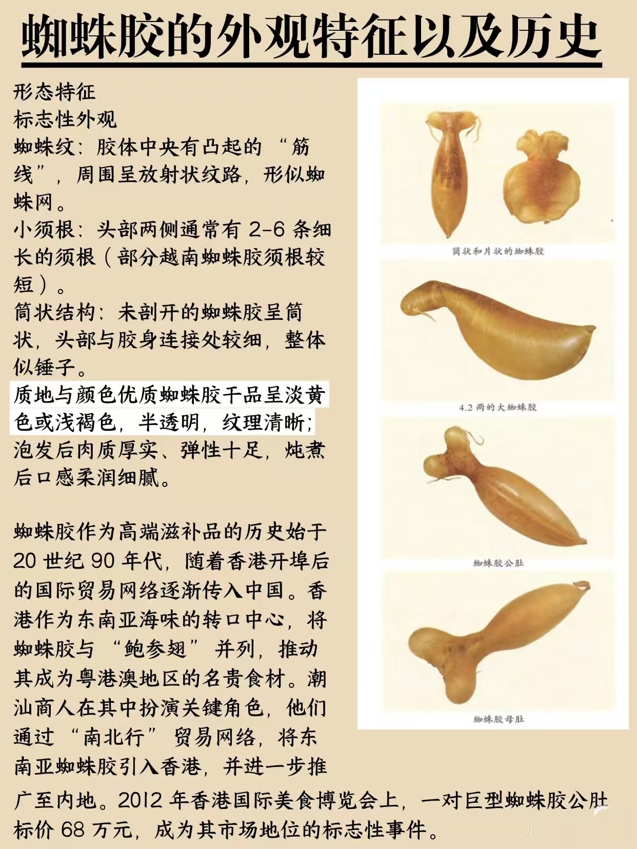 微信图片_20260325115134_392_543.jpg
