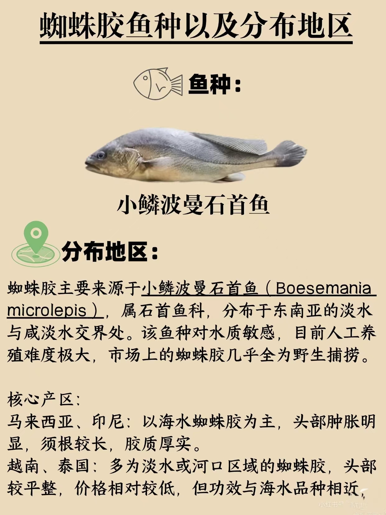 微信图片_20260325115132_390_543.jpg