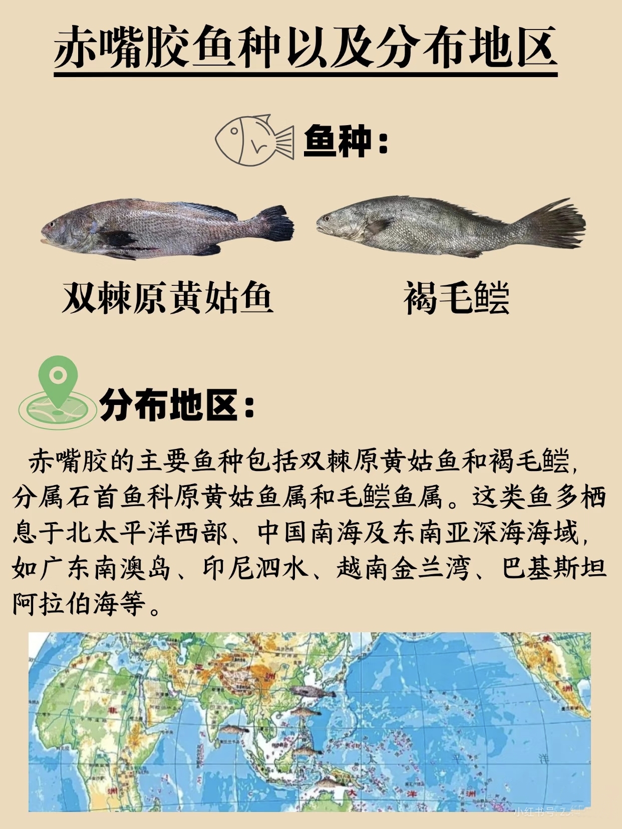 微信图片_20260325120021_395_543.jpg