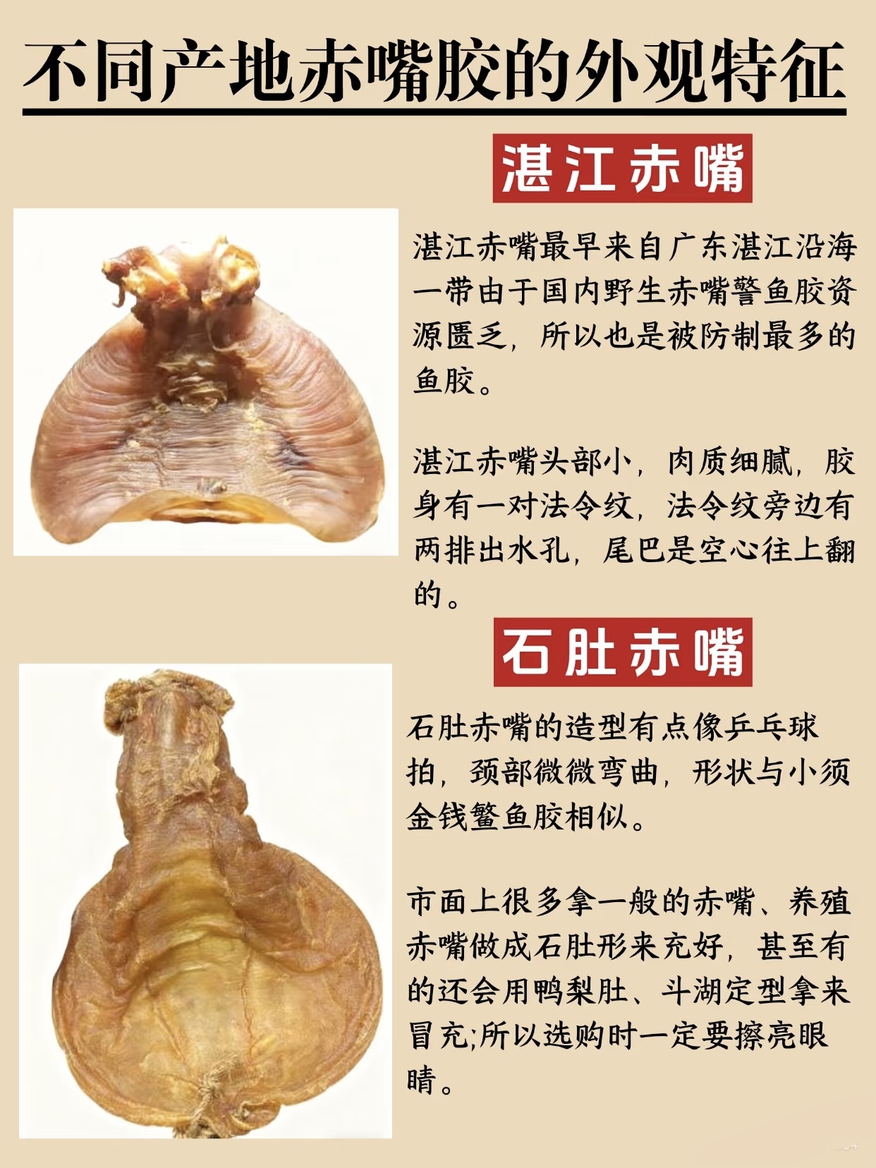 微信图片_20260325120022_396_543.jpg
