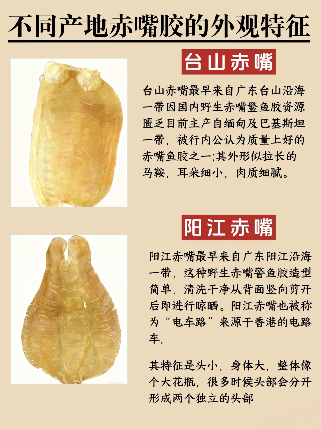 微信图片_20260325120023_398_543.jpg