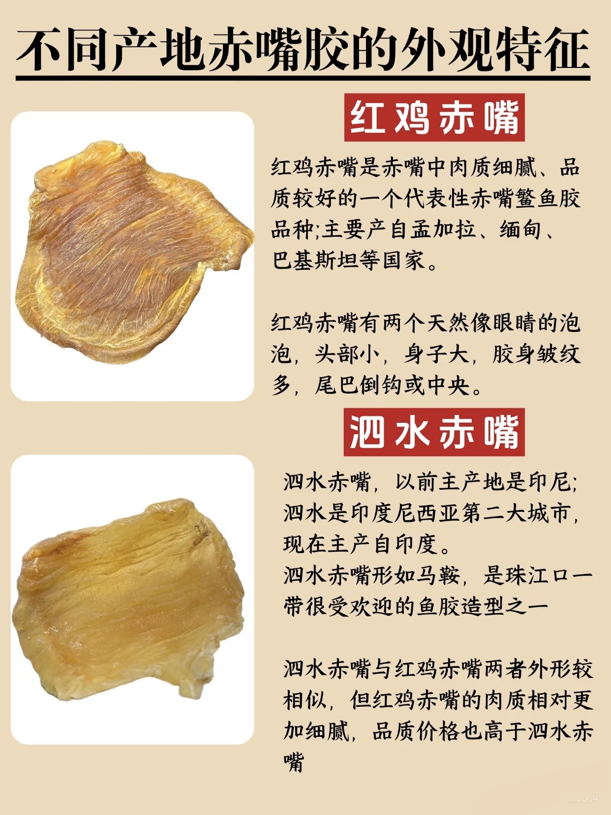 微信图片_20260325120024_399_543.jpg