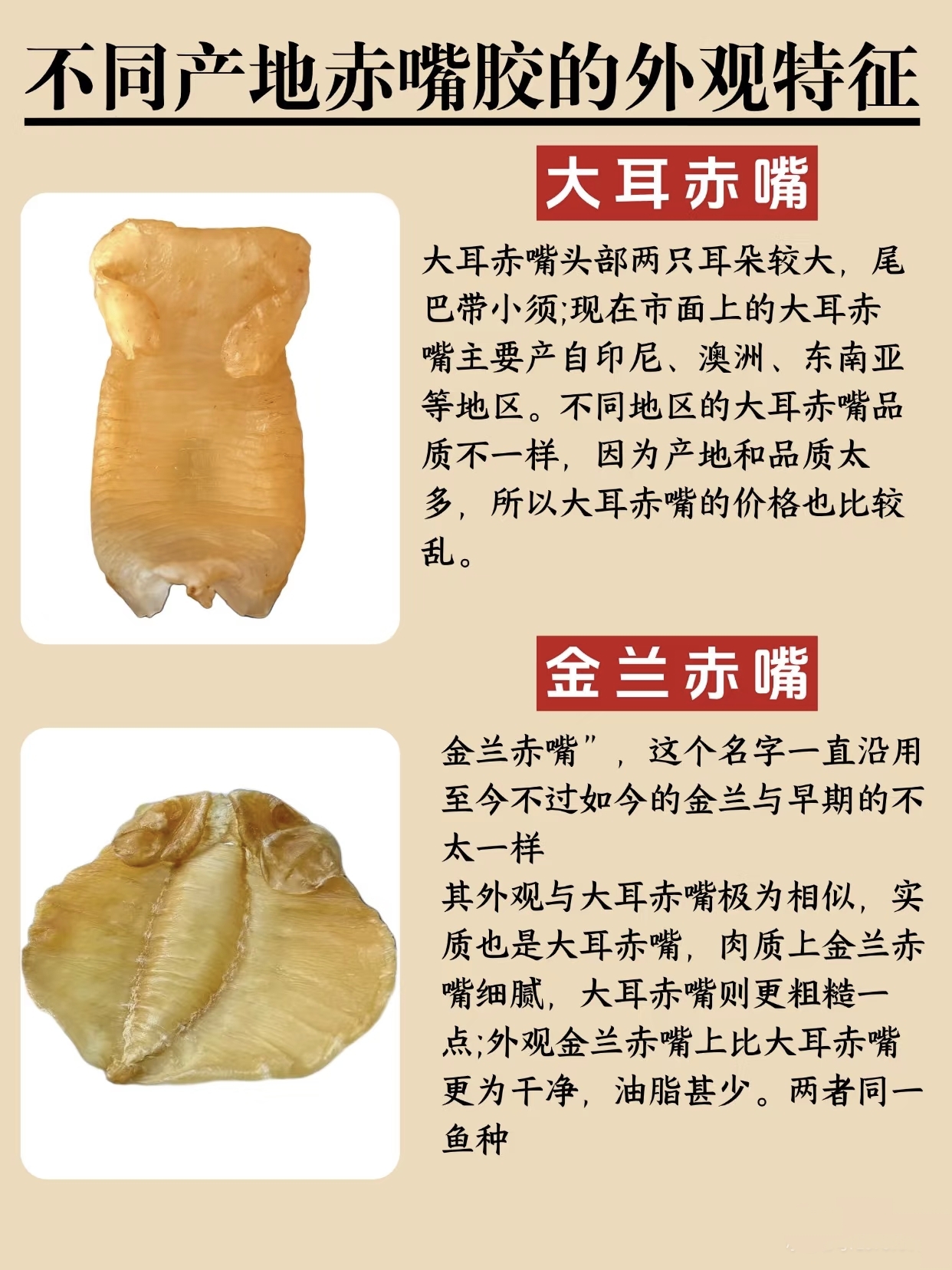 微信图片_20260325120025_400_543.jpg