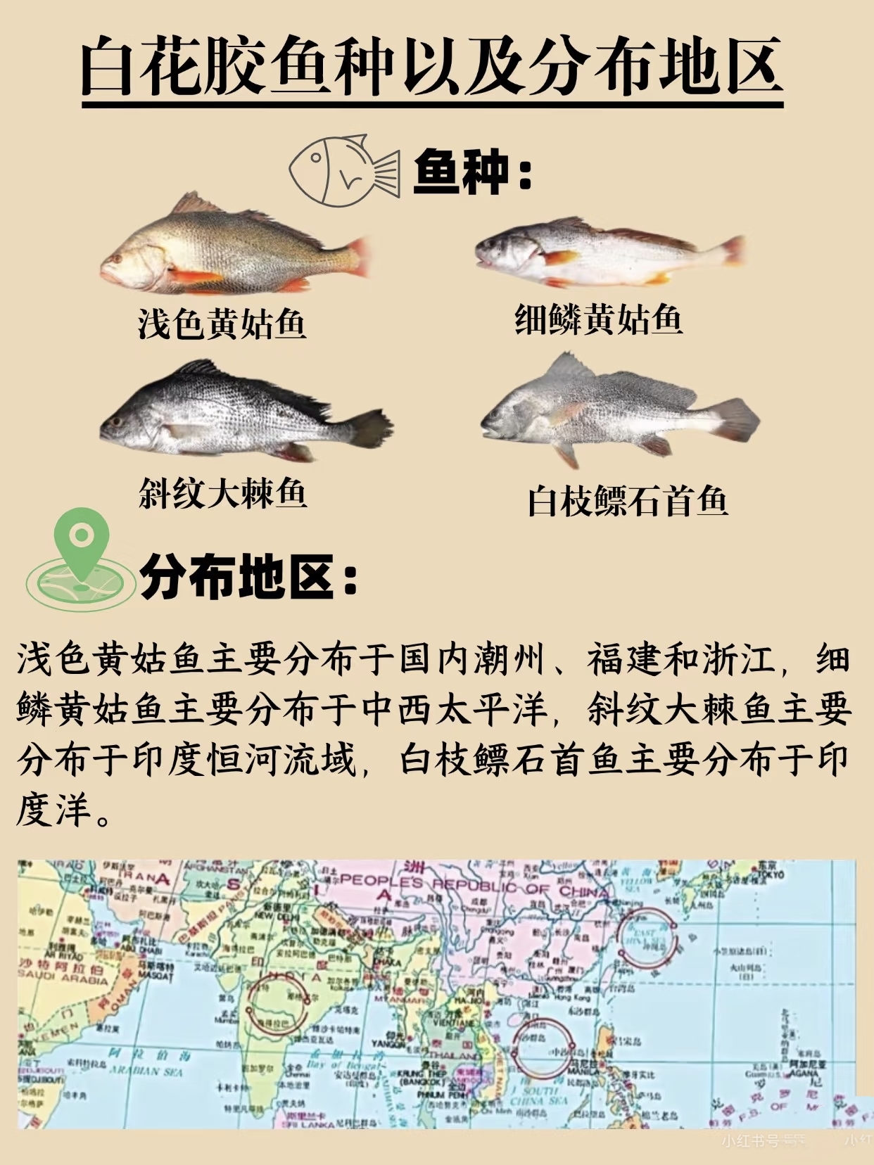 微信图片_20260325120906_402_543.jpg