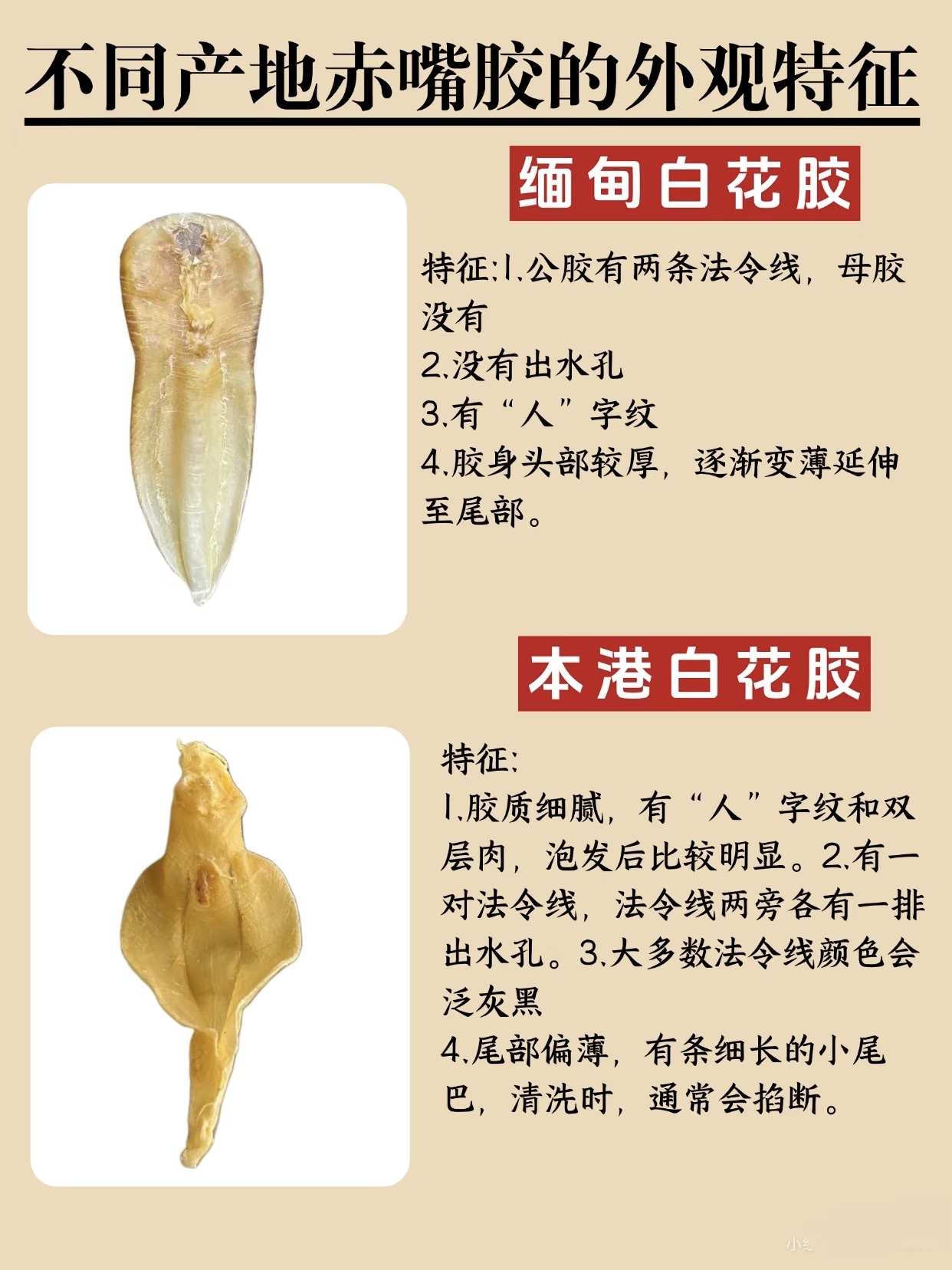 微信图片_20260325120907_404_543.jpg