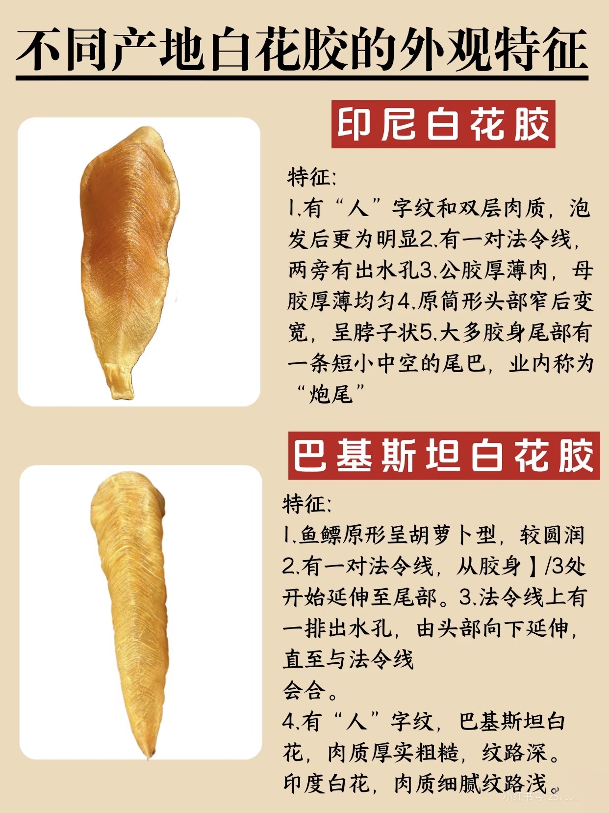 微信图片_20260325120908_405_543.jpg