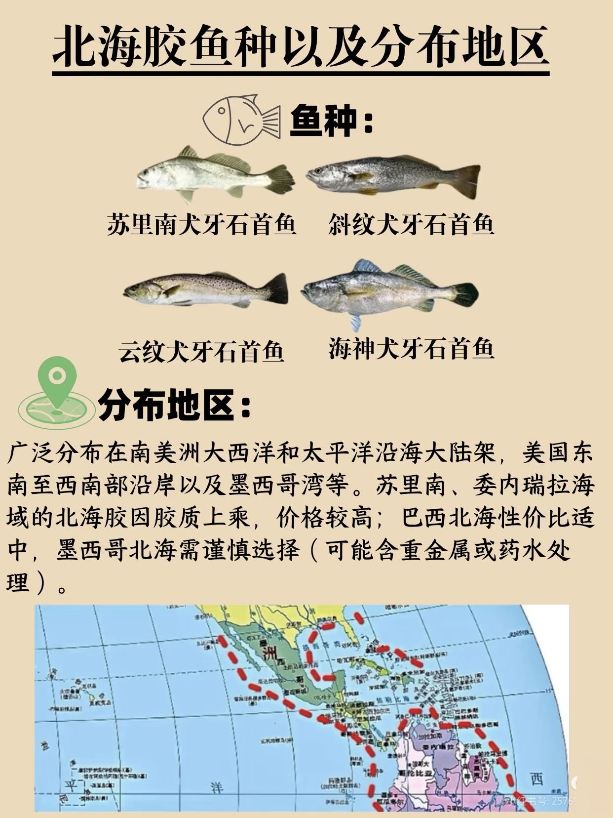 微信图片_20260325121518_407_543.jpg