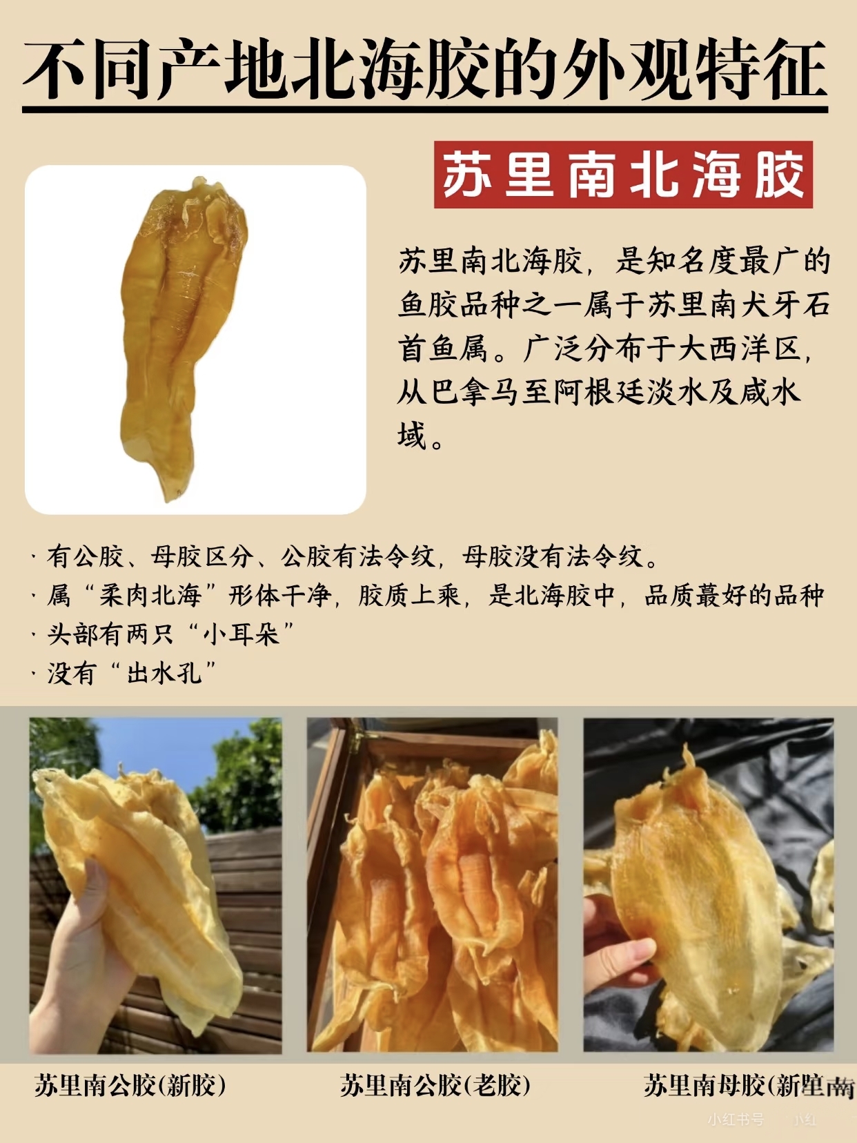 微信图片_20260325121519_408_543.jpg