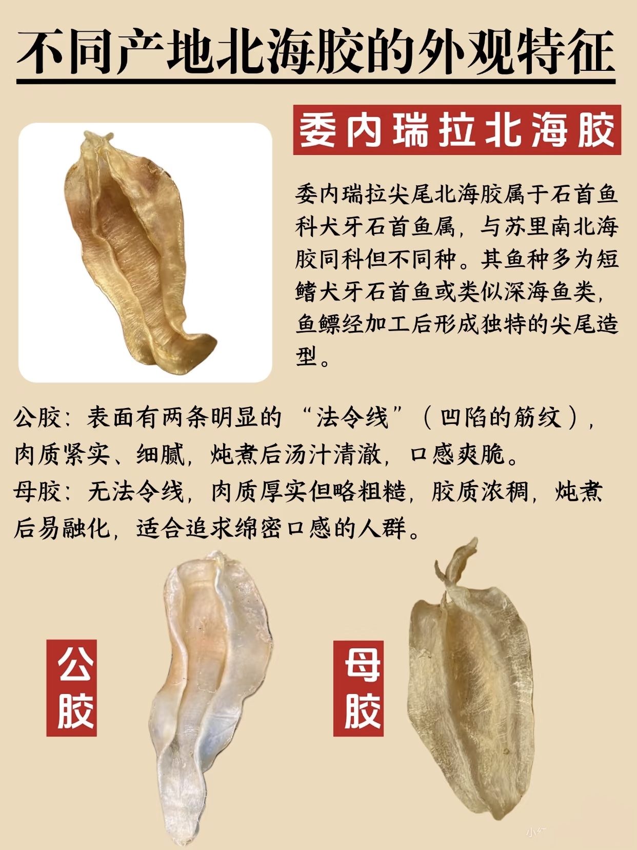 微信图片_20260325121520_409_543.jpg