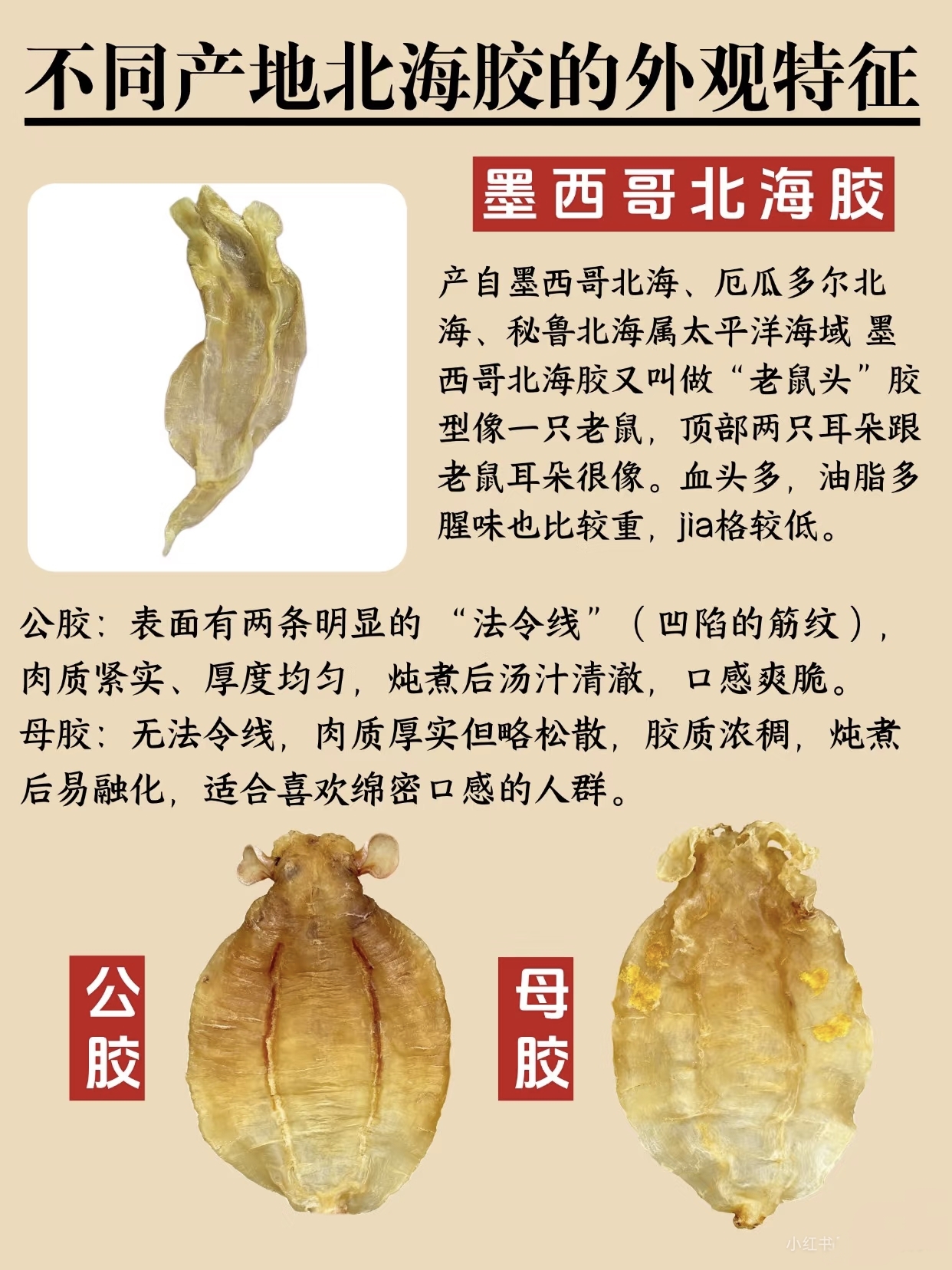 微信图片_20260325121521_410_543.jpg