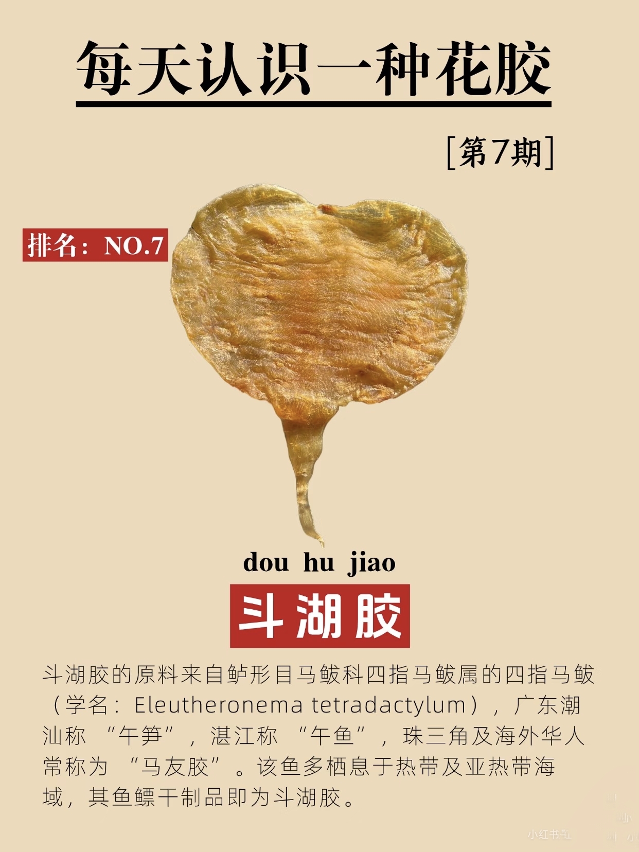 微信图片_20260326114637_416_543.jpg