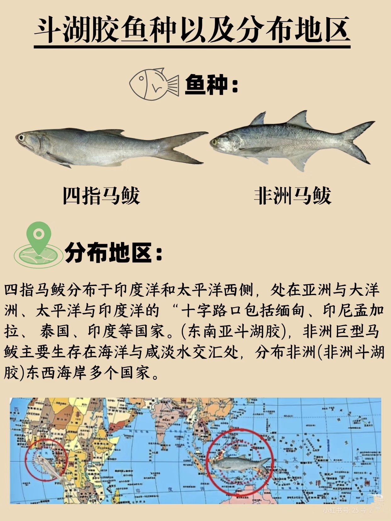 微信图片_20260326114633_414_543.jpg