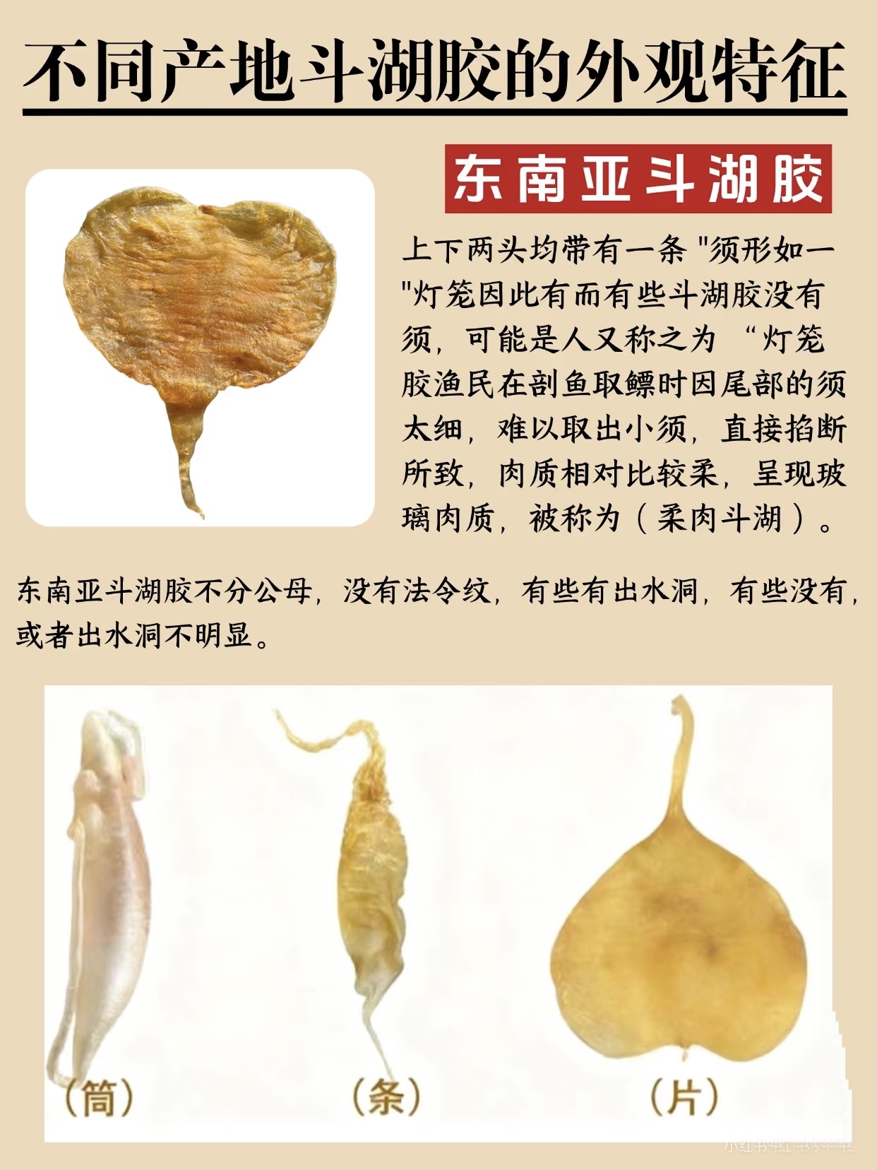 微信图片_20260326114627_413_543.jpg