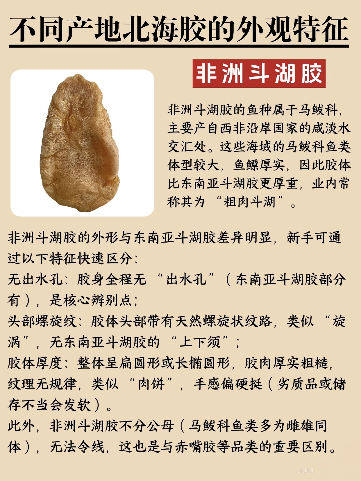 微信图片_20260326114621_412_543.jpg