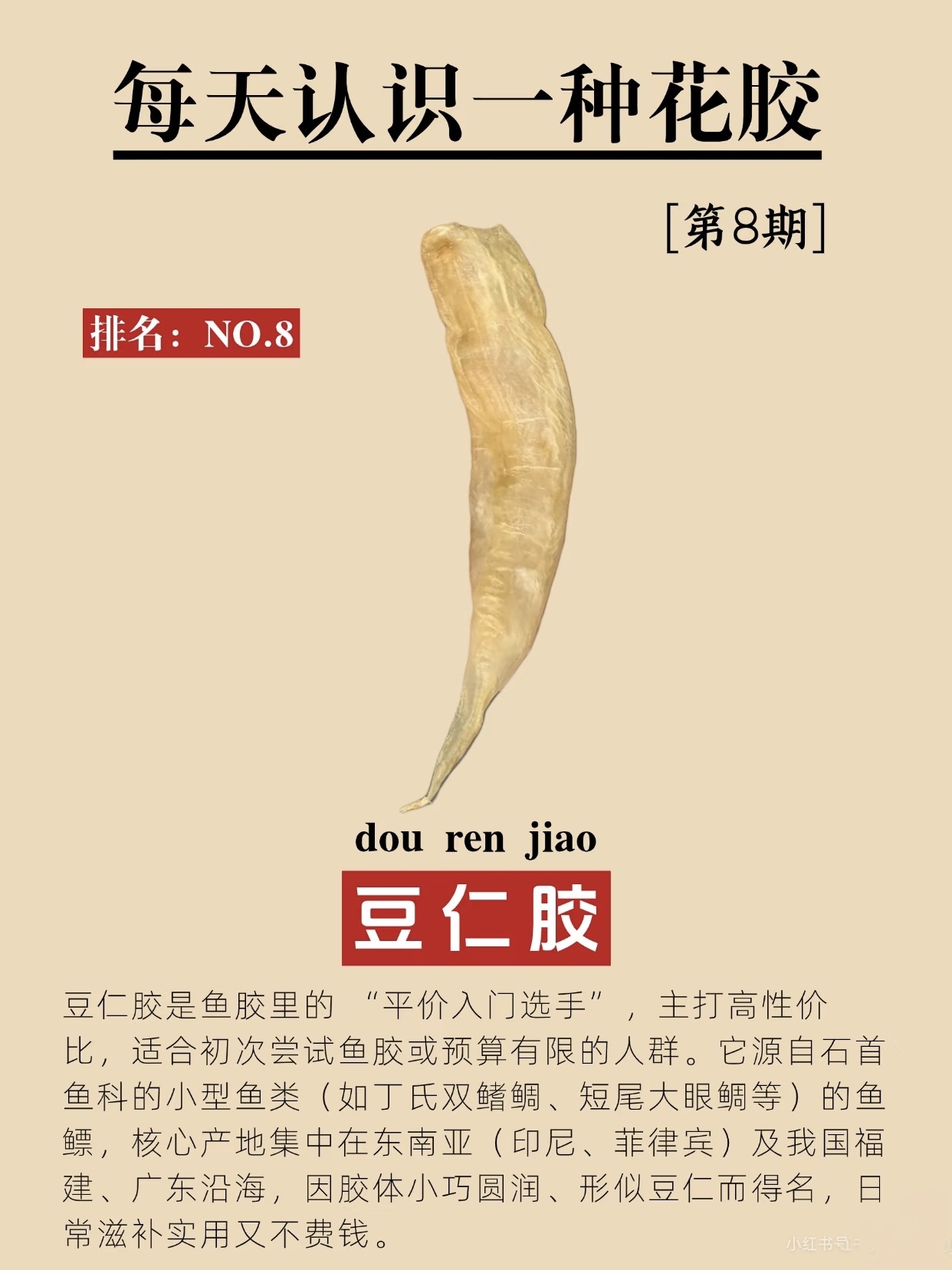 微信图片_20260326115646_419_543.jpg