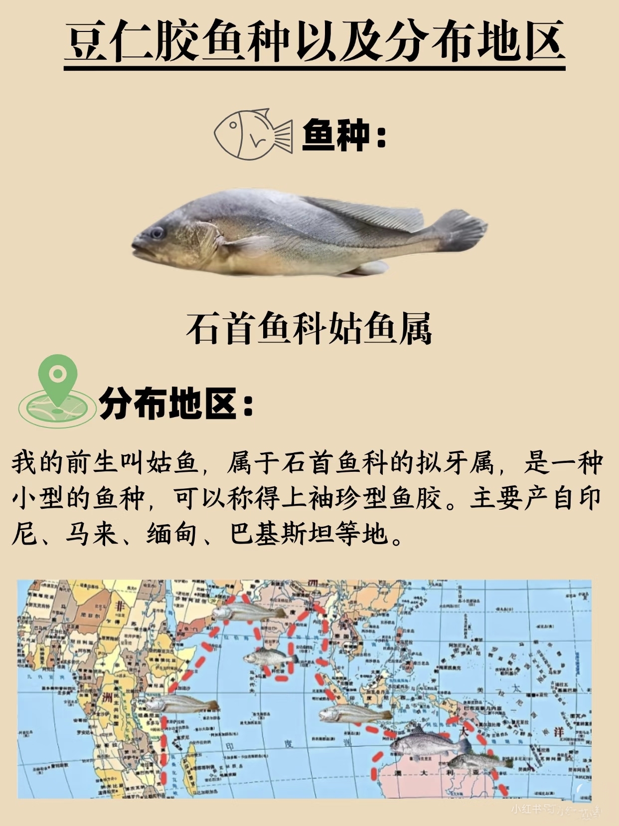 微信图片_20260326115642_418_543.jpg