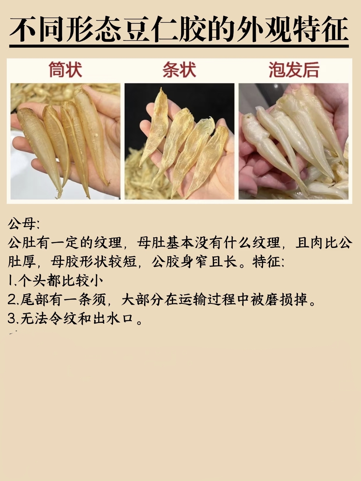 微信图片_20260326115638_417_543.jpg