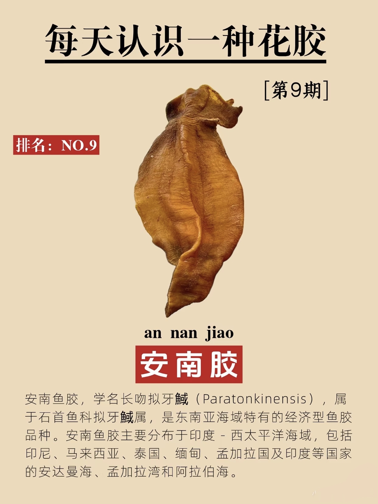 微信图片_20260326123504_423_543.jpg