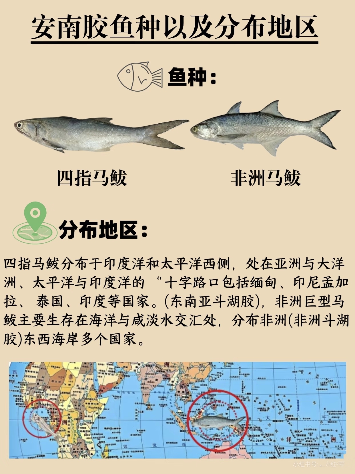 微信图片_20260326123501_422_543.jpg