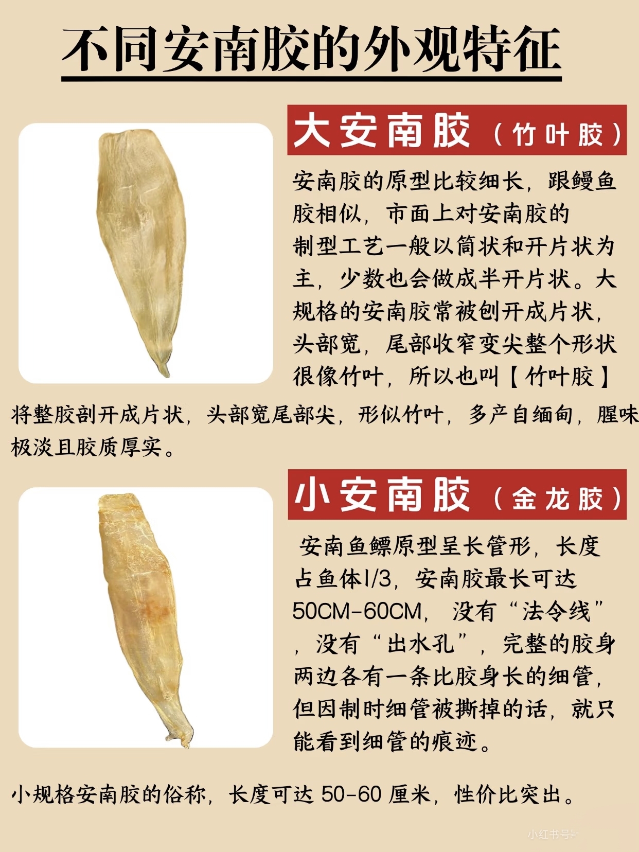 微信图片_20260326123457_421_543.jpg
