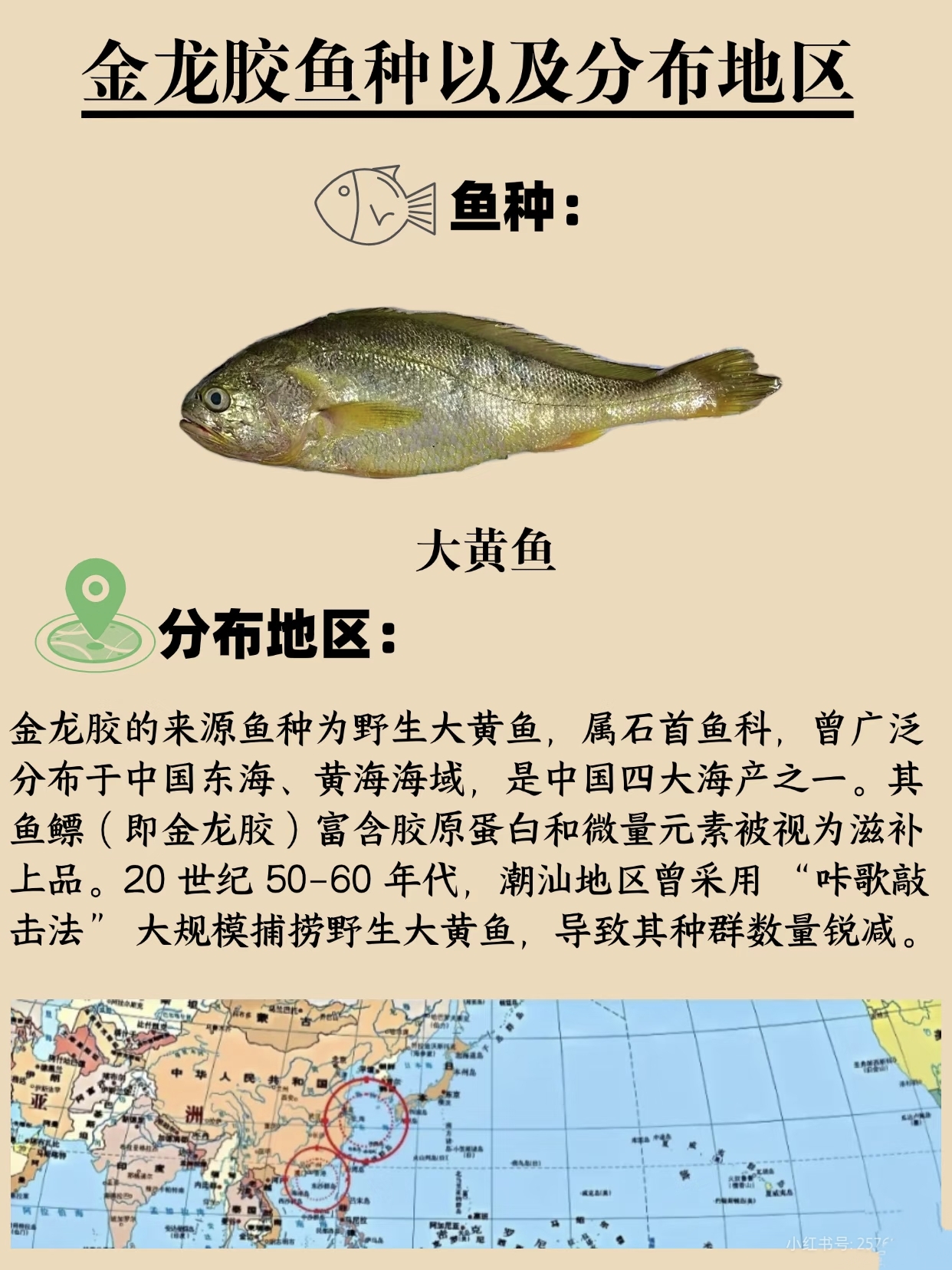 微信图片_20260326124059_426_543.jpg