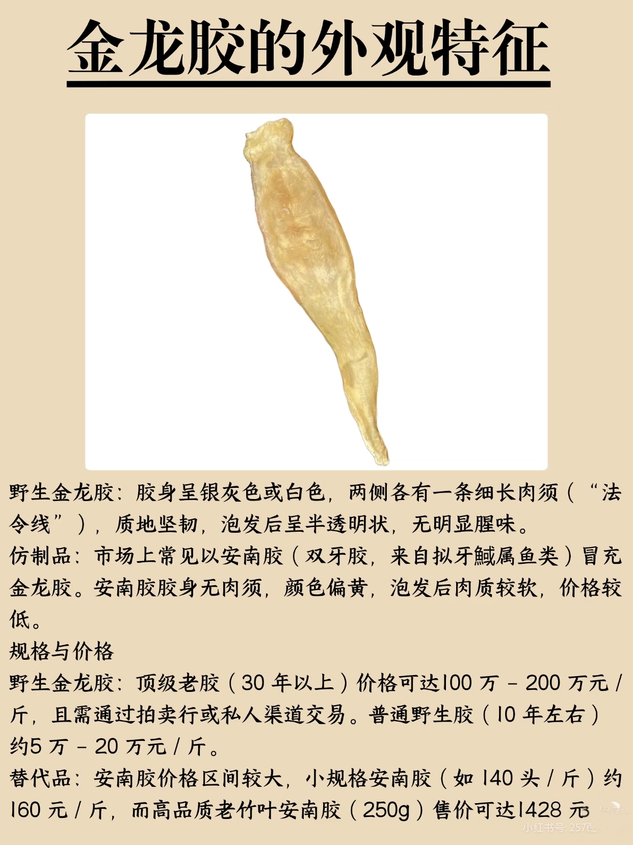 微信图片_20260326124055_425_543.jpg