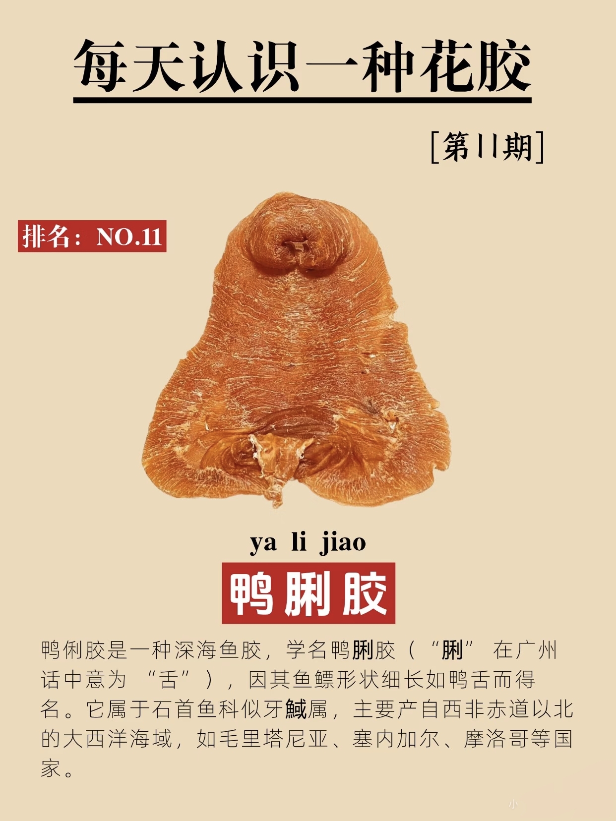 微信图片_20260326124637_431_543.jpg