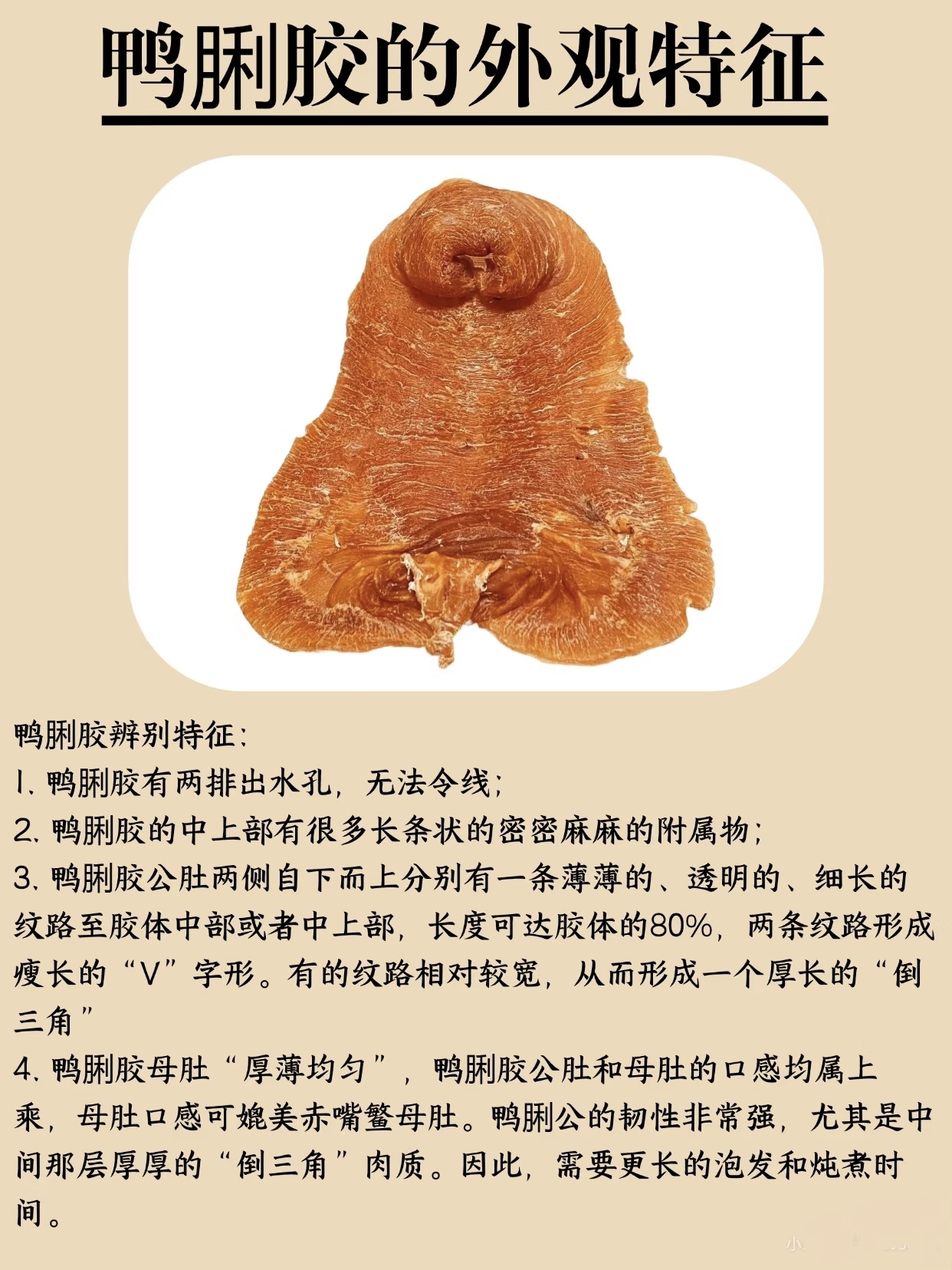 微信图片_20260326124628_429_543.jpg