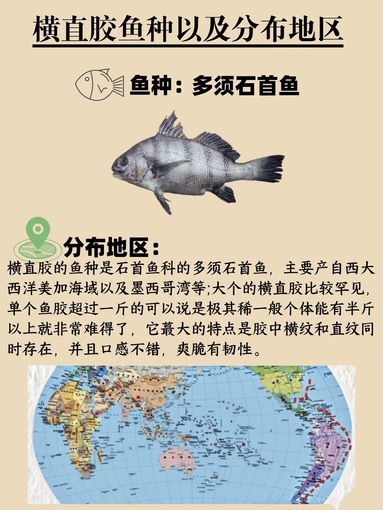 微信图片_20260326125216_435_543.jpg