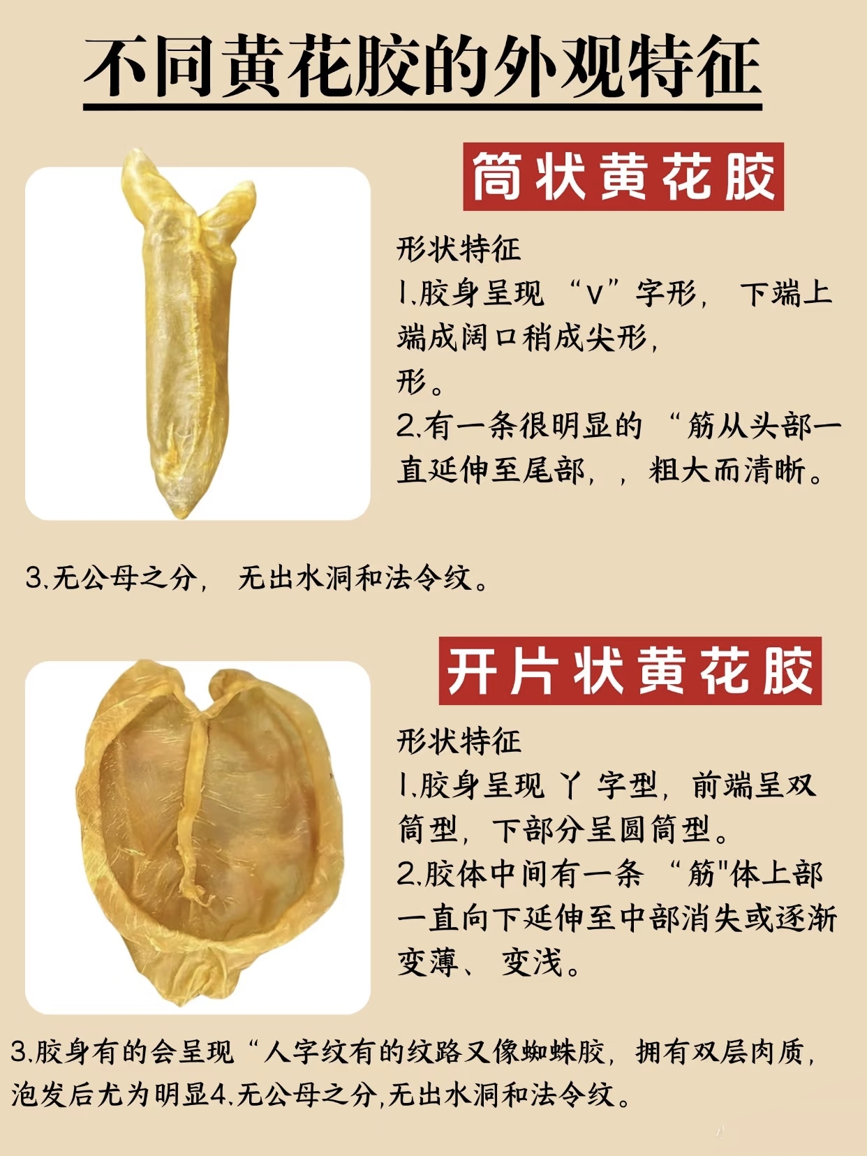 微信图片_20260326125609_437_543.jpg