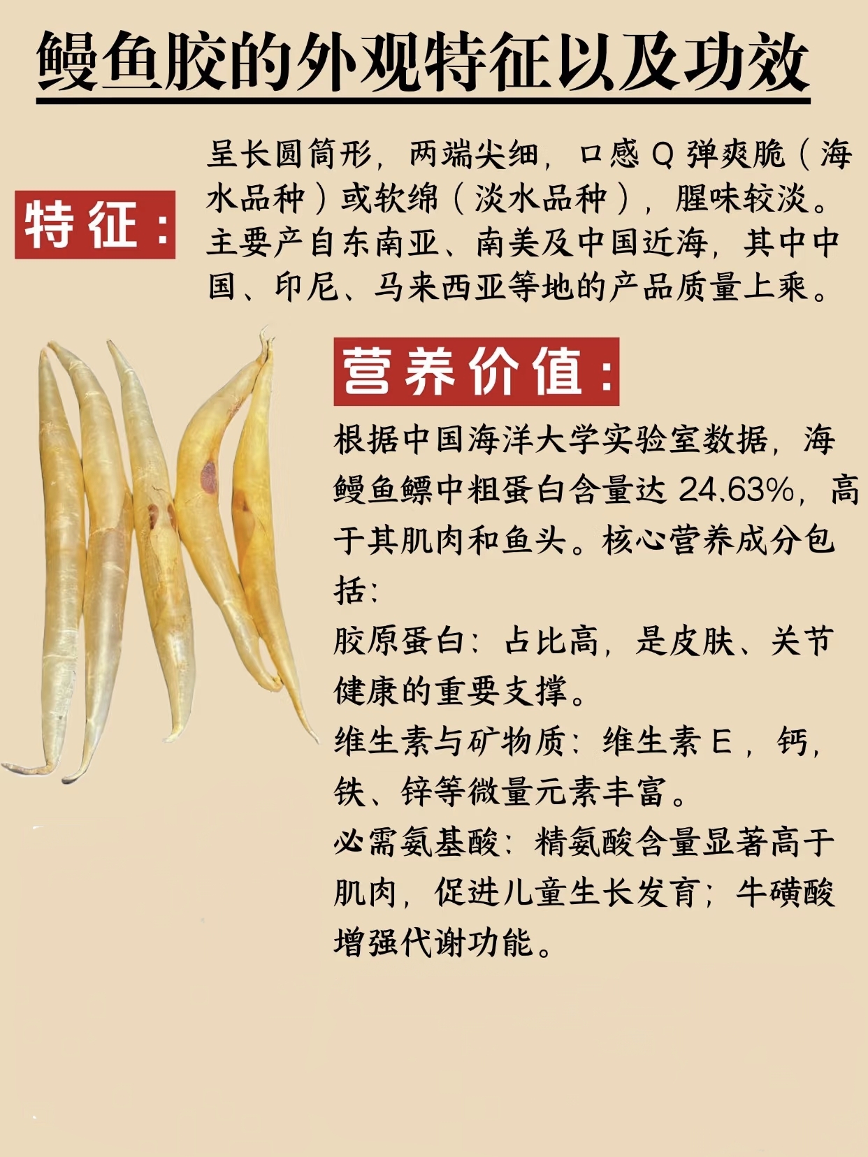 微信图片_20260326130359_442_543.jpg