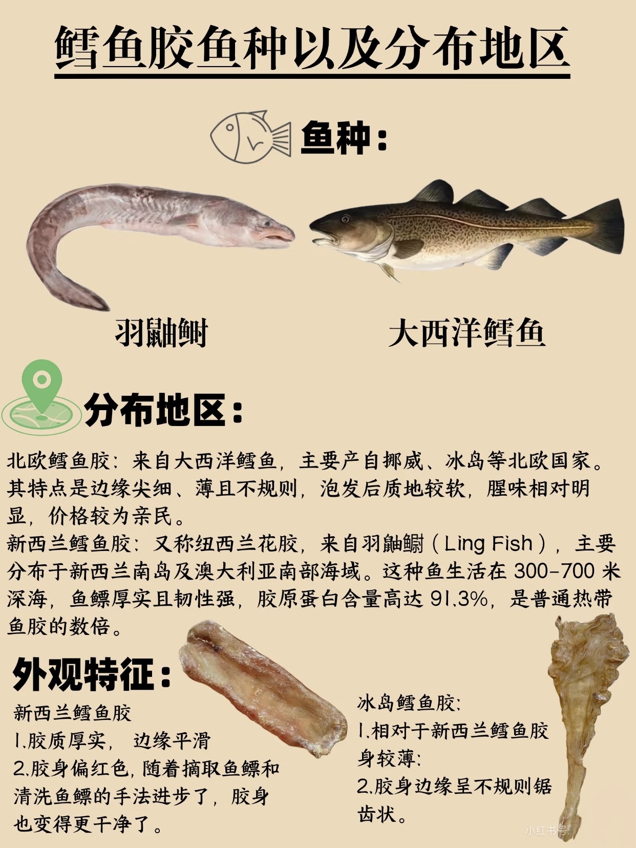 微信图片_20260326130817_447_543.jpg