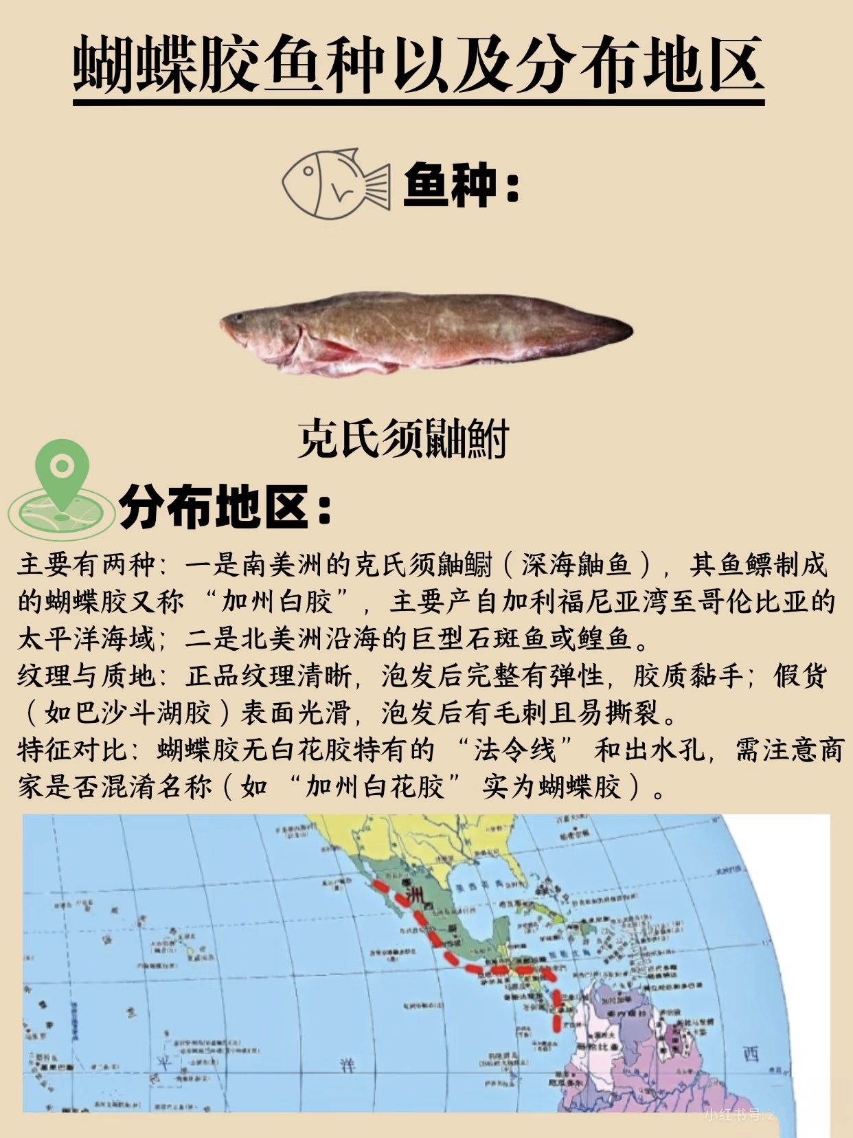 微信图片_20260326131159_451_543.jpg