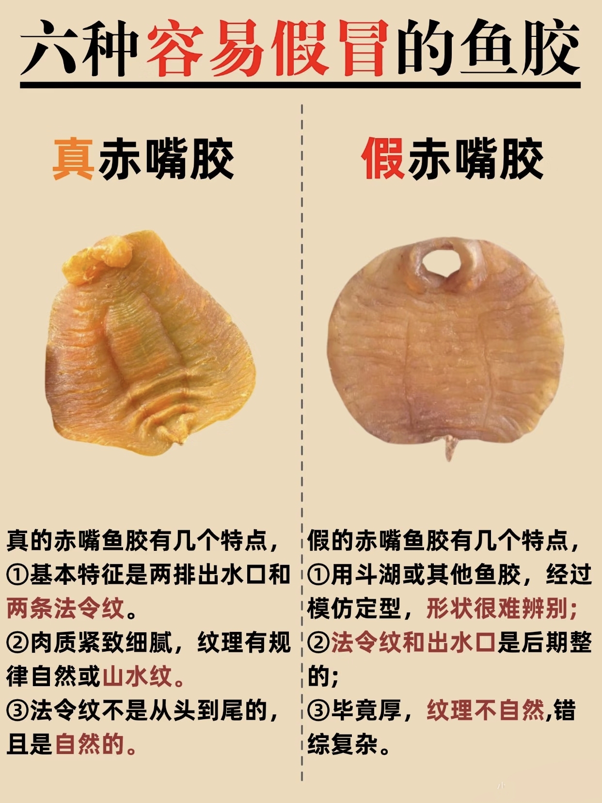 微信图片_20260326132643_463_543.jpg