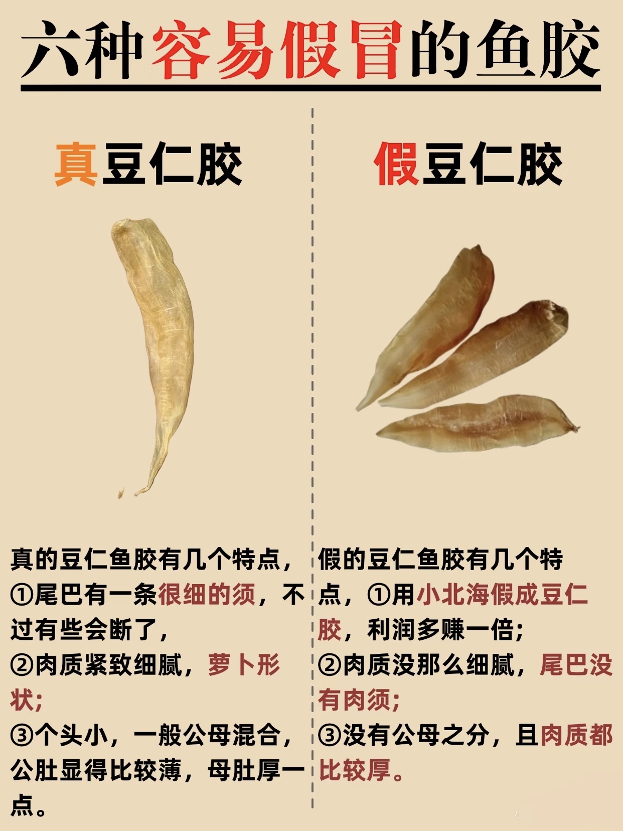 微信图片_20260326132638_462_543.jpg