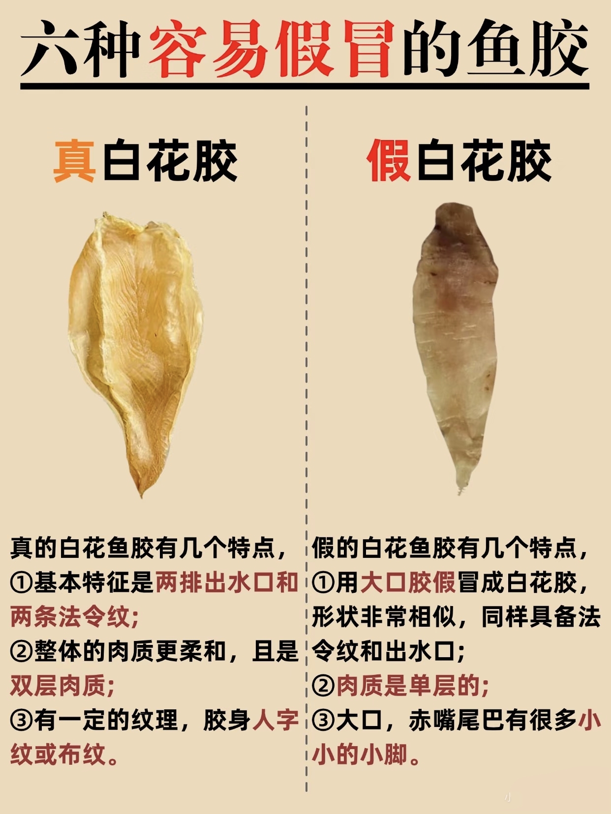 微信图片_20260326132629_460_543.jpg