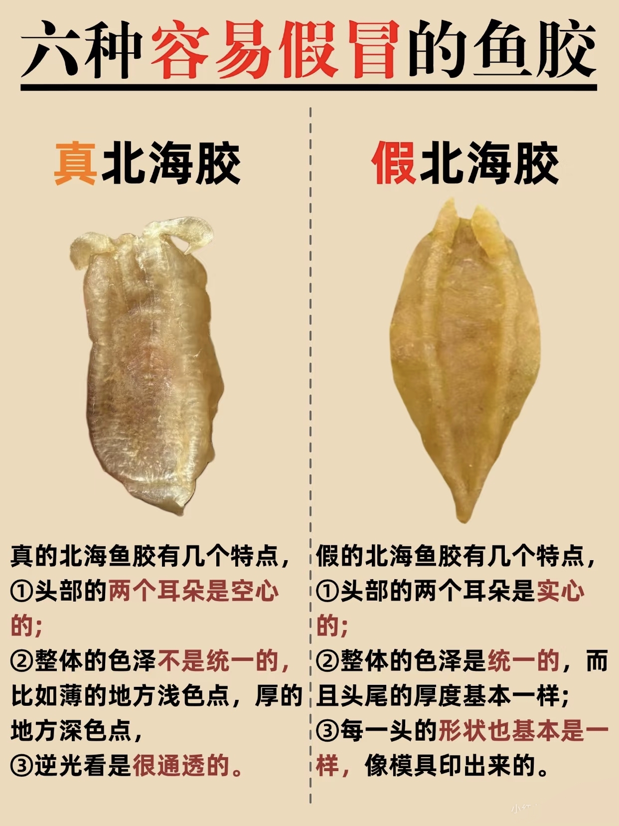 微信图片_20260326132625_459_543.jpg